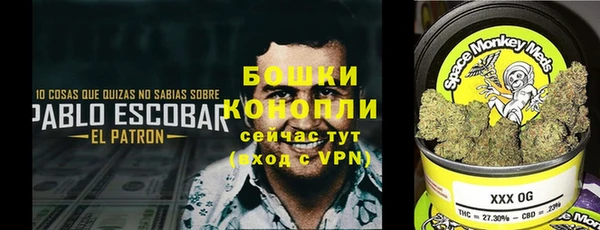 эйфоретик Армянск