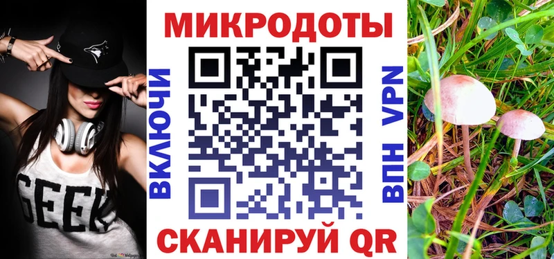 Псилоцибиновые грибы MAGIC MUSHROOMS  купить закладку  Новый Уренгой 